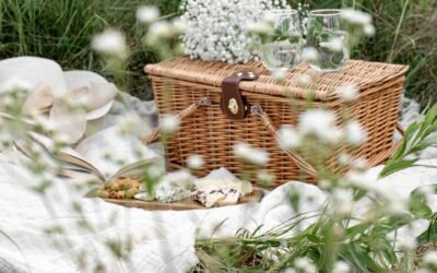 7 básicos para disfrutar de un picnic en el GRAN parque central